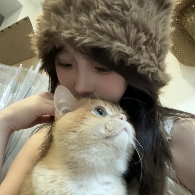 飞燕清歌